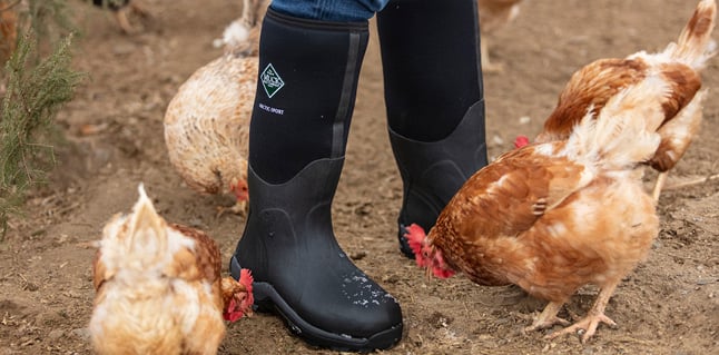 Boot Season