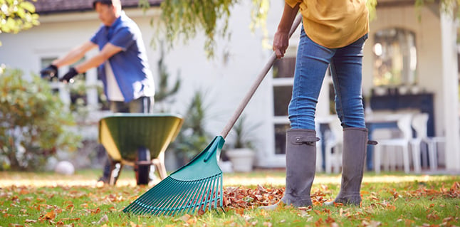 fall lawn and garden care