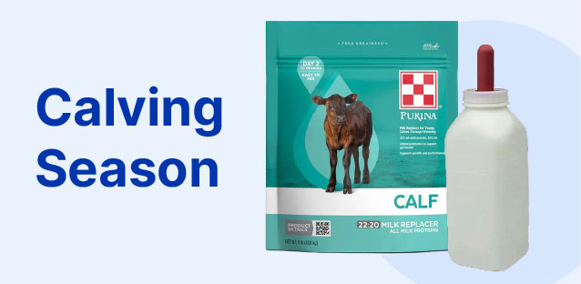 Calving