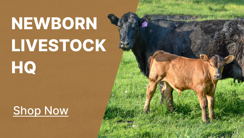 newborn livestock HQ