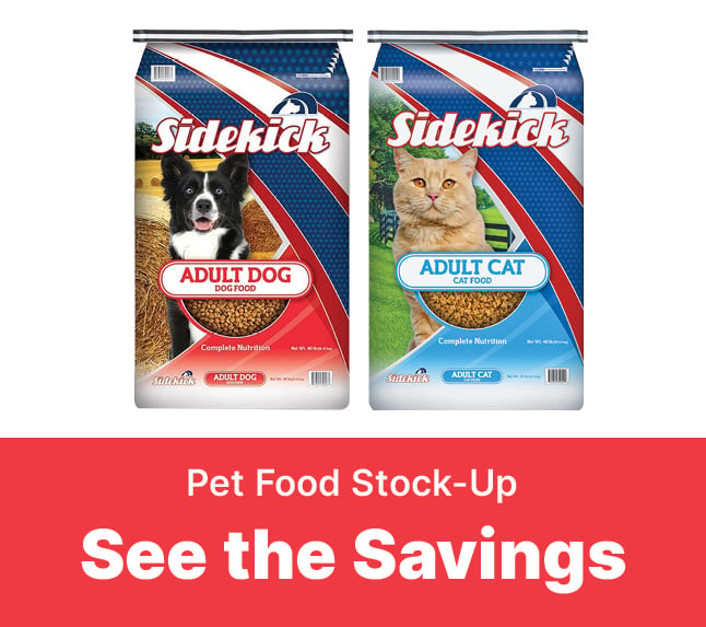 dog and cat food on sale
