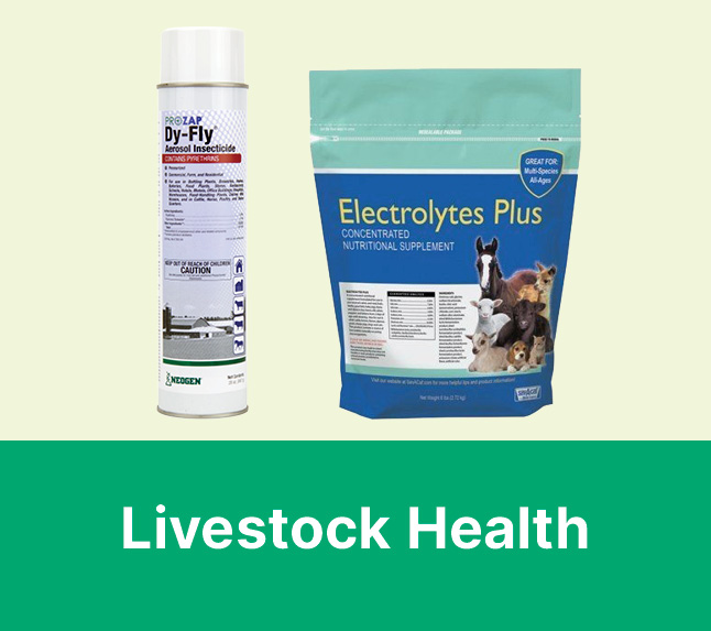 Livestock Health