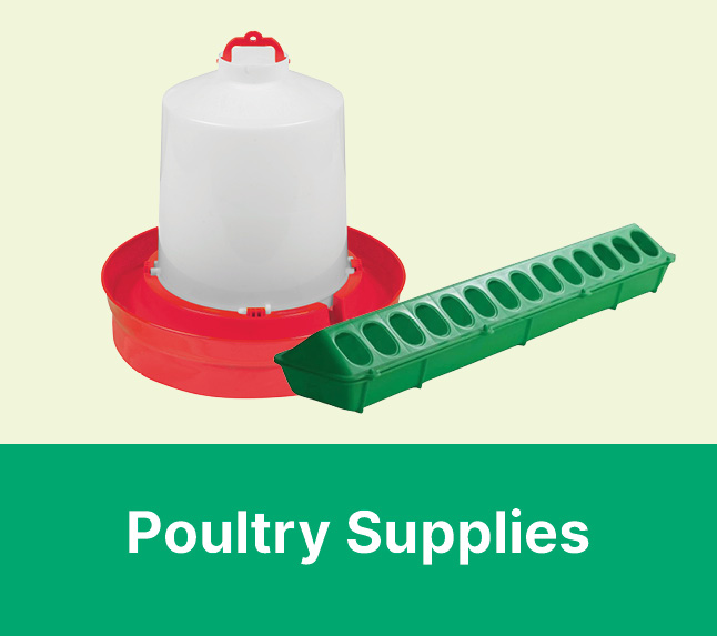 Poultry Supplies