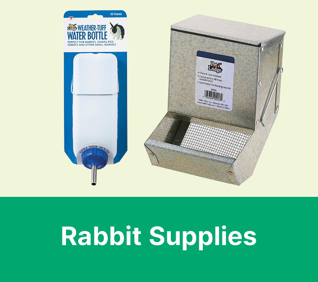 Rabbit Hutchery
