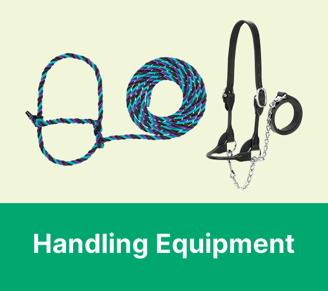 Livestock Handeling Equipment