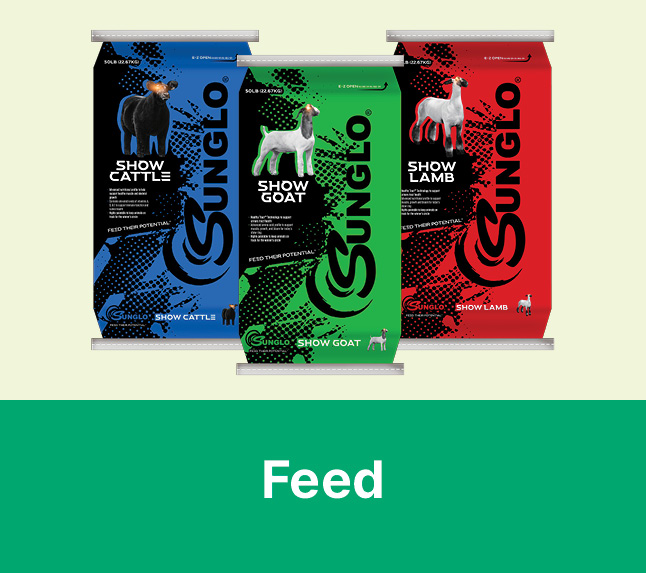 feed for your project