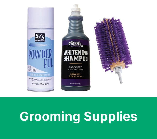 livestock grooming