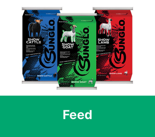 Show Feed