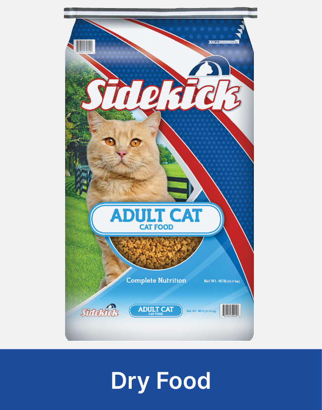 dry cat food