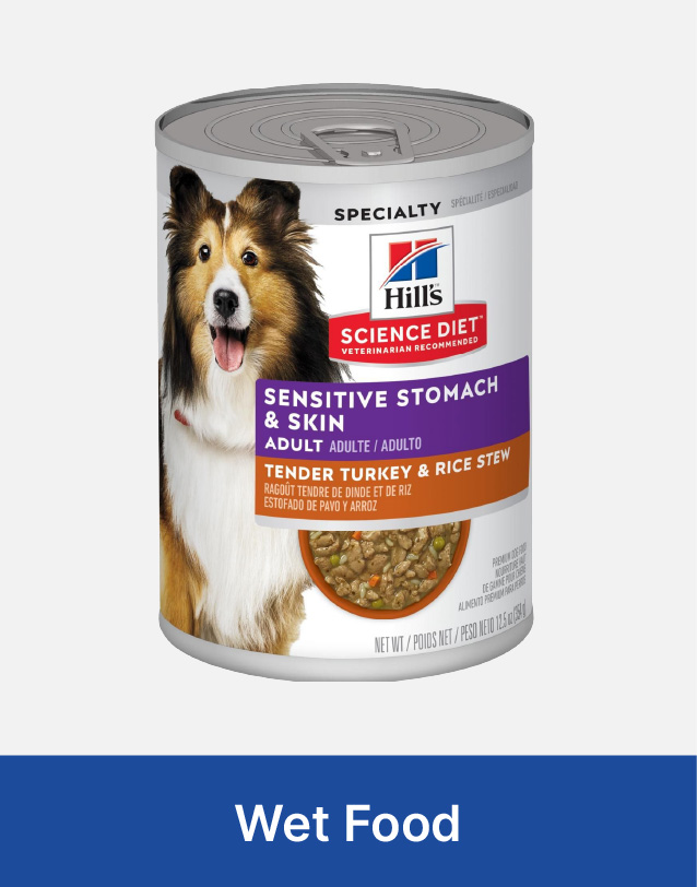 wet dog food