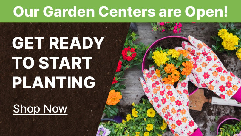 gardening