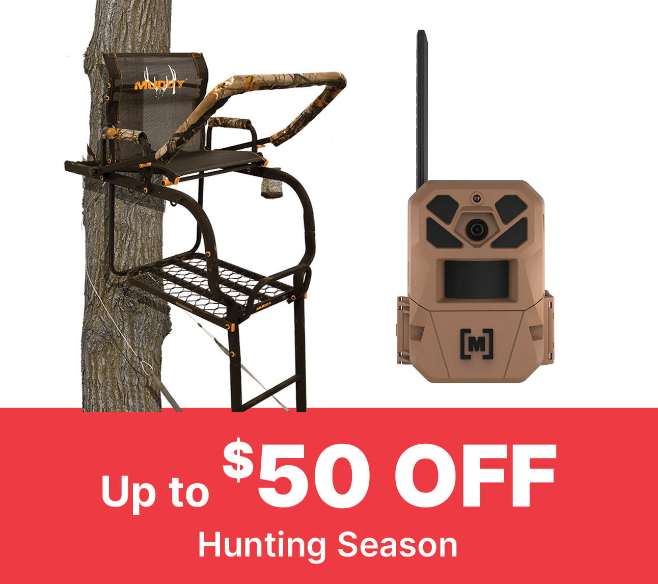save on sporting goods